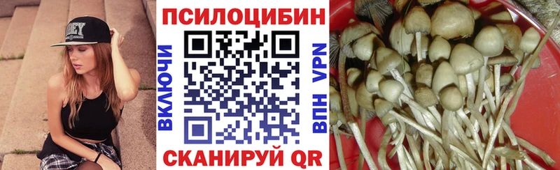 Псилоцибиновые грибы Cubensis  Чердынь 